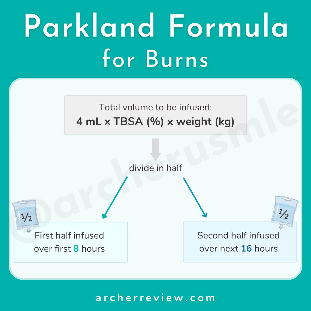 Archer USMLE Review tweet media