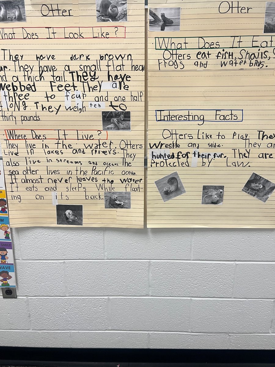 Robin Musselman Rudd tweet media