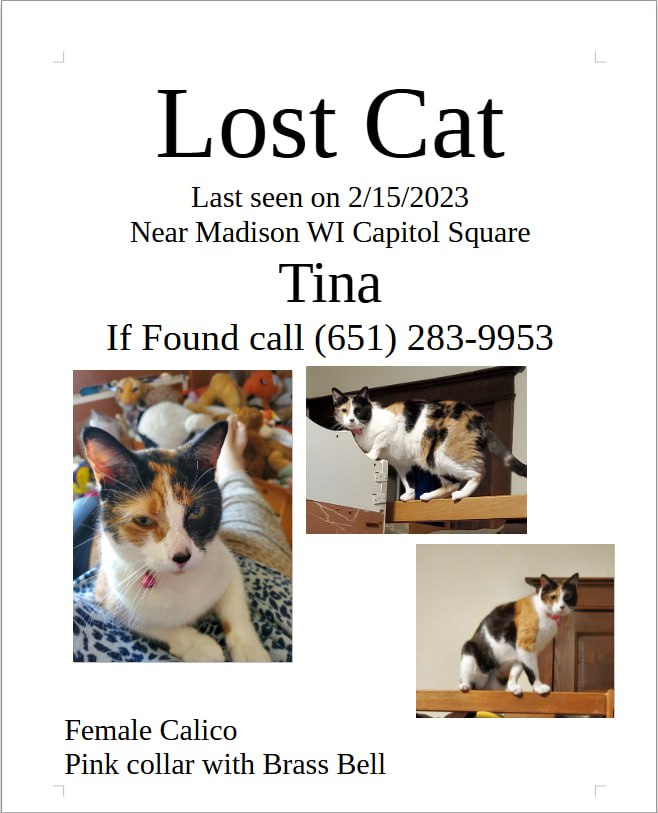 Any one in or around Madison WI, please help us find our cat.