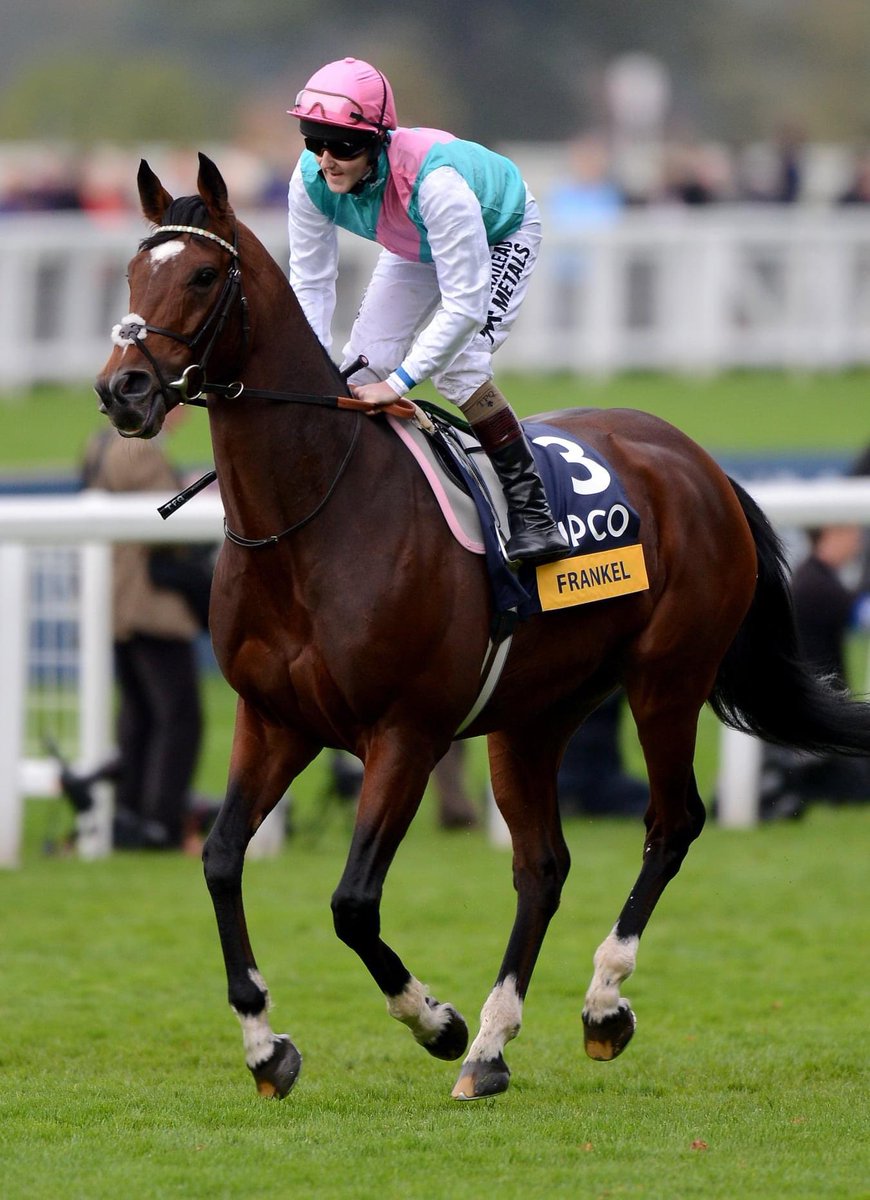 Jess Samy tweet media