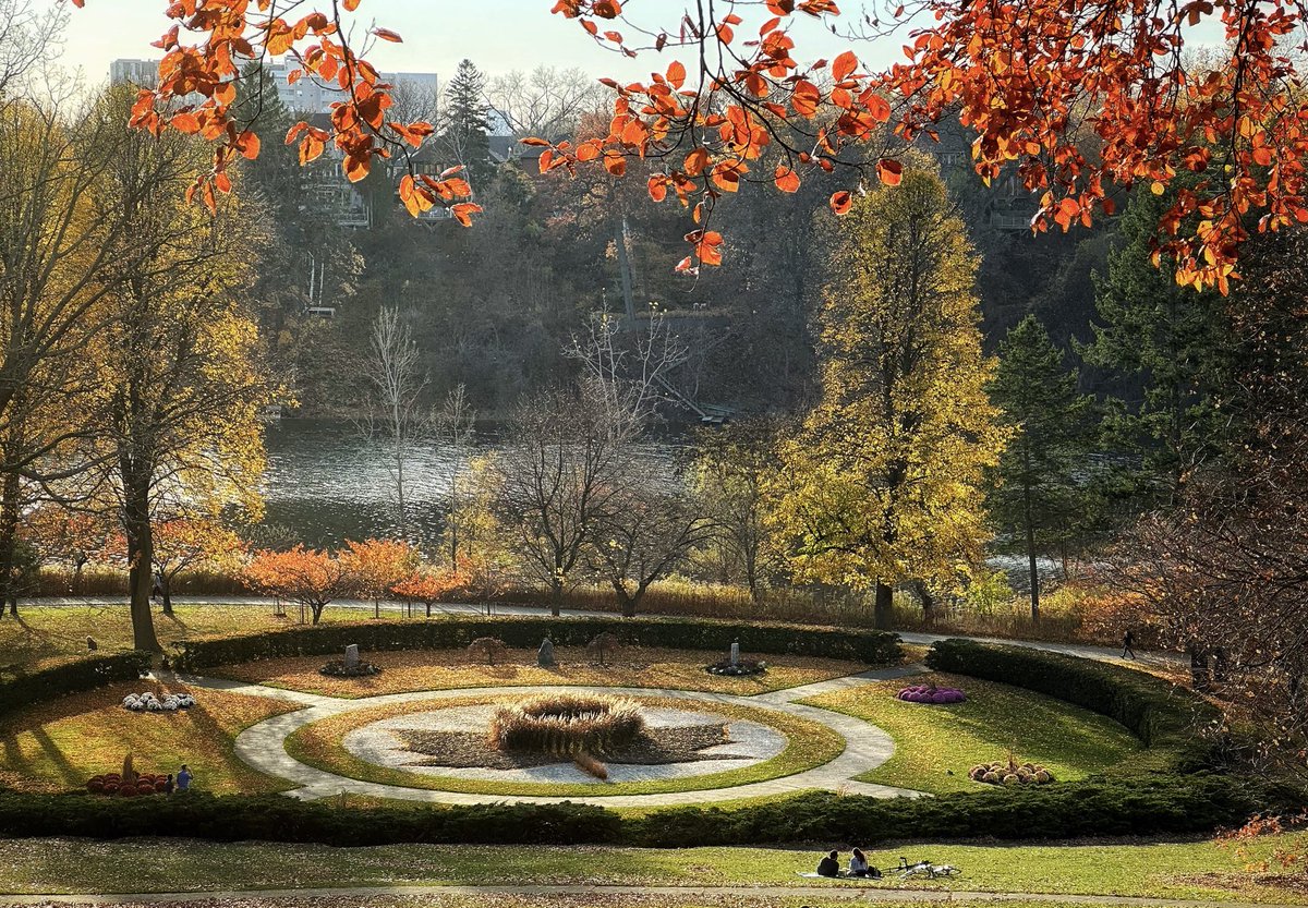 The best #picnic spot in #highpark #toronto
