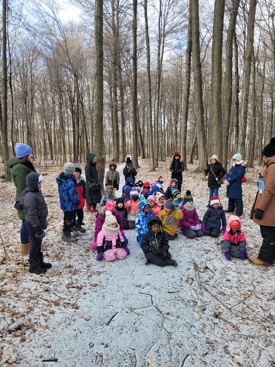 msspangler12's tweet photo. A cold morning forest adventure with our kindergarten friends! The grade 2's were amazing leaders! Land acknowledgment, mindful moment, reading a book, creating animal habitats together. Thanks to parent volunteers! 💕 💞 ♥️ https://t.co/Vy2MQln3ty