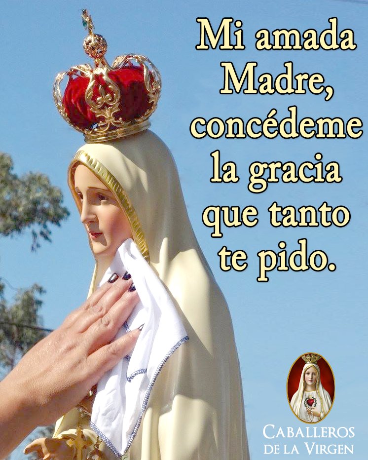 Cab_Virgen's tweet photo. Mi amada Madre, concédeme la gracia que tanto te pido. https://t.co/7G16MO0zWT