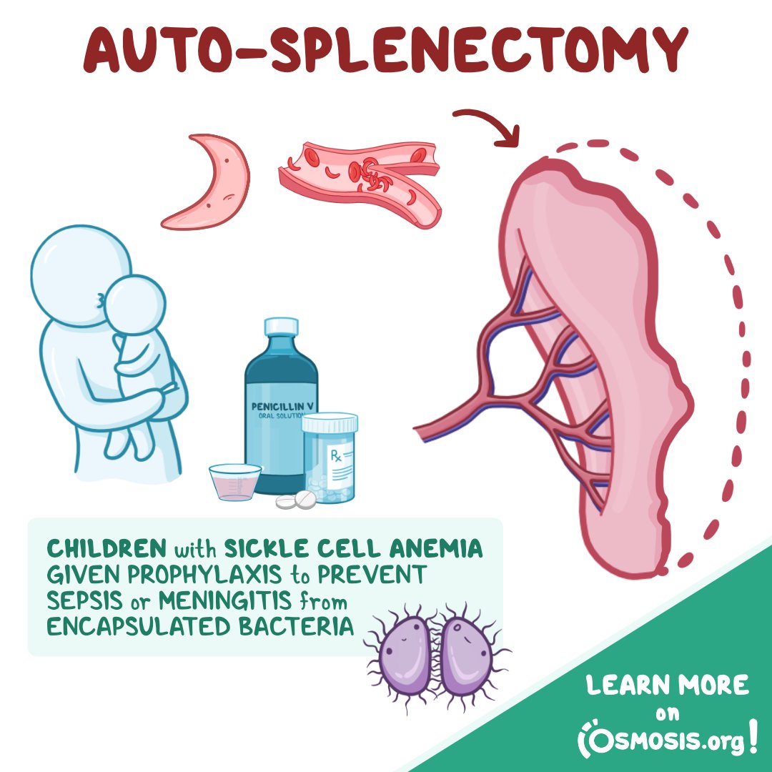 Osmosis from Elsevier on Twitter "Time for another Clinical Pearl