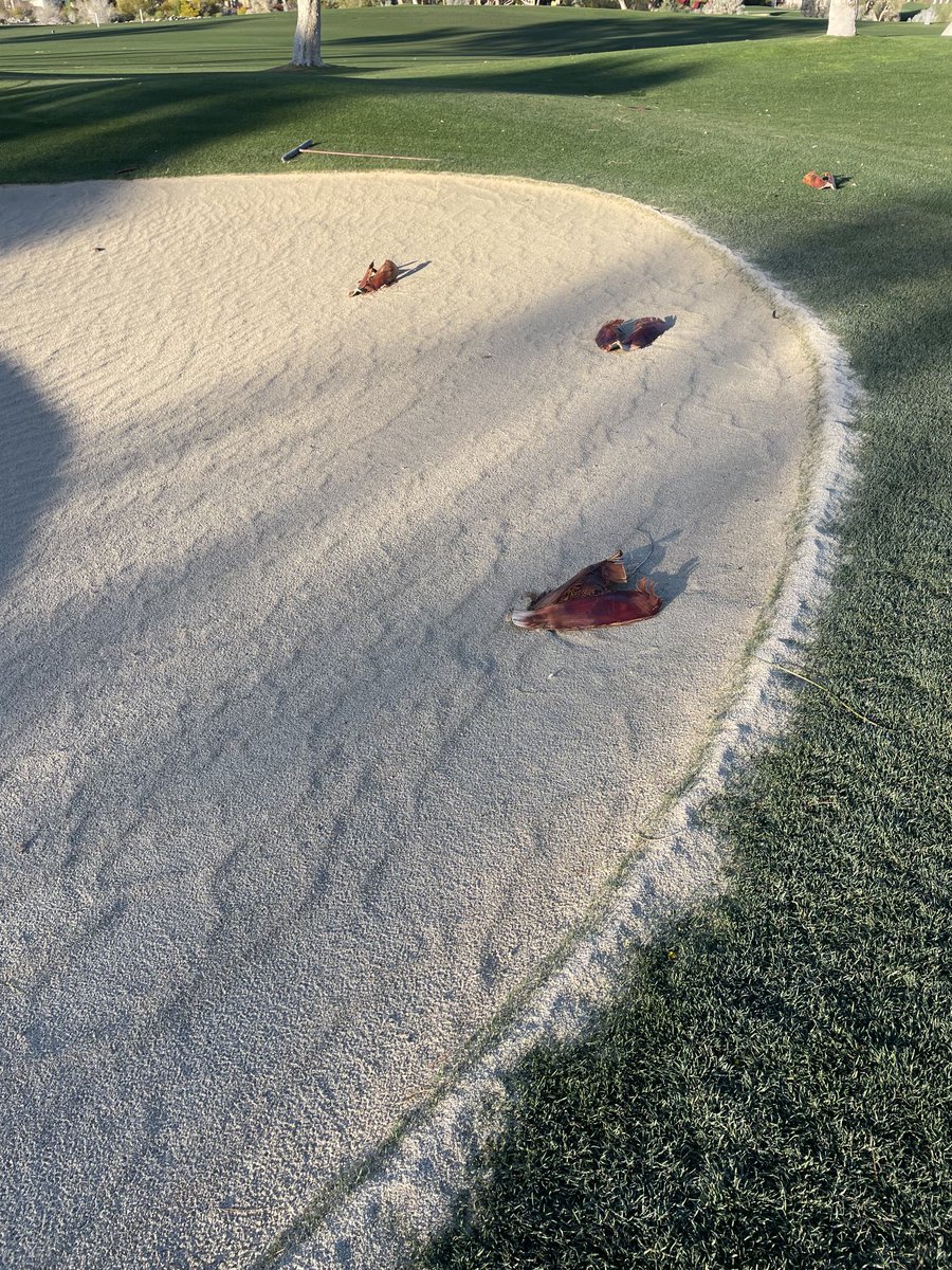 I guess it was a bit windy yesterday…