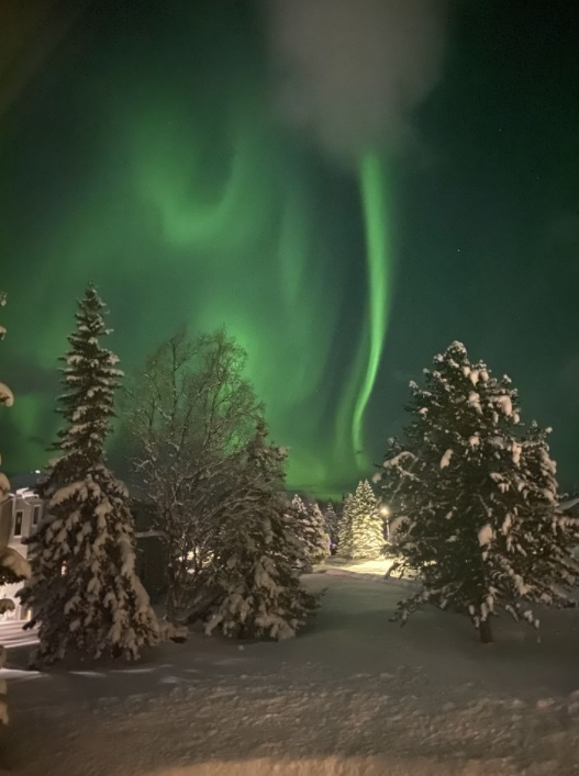 KSLA's tweet photo. So beautiful!! These pics of the Aurora Borealis were sent to our sister station in Alaska, KTUU, the other night when the lights were visible up there!! 💚💚💚 https://t.co/ESvh6SBaNE