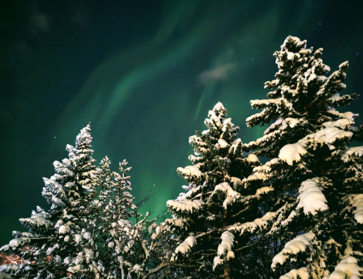 KSLA's tweet photo. So beautiful!! These pics of the Aurora Borealis were sent to our sister station in Alaska, KTUU, the other night when the lights were visible up there!! 💚💚💚 https://t.co/ESvh6SBaNE