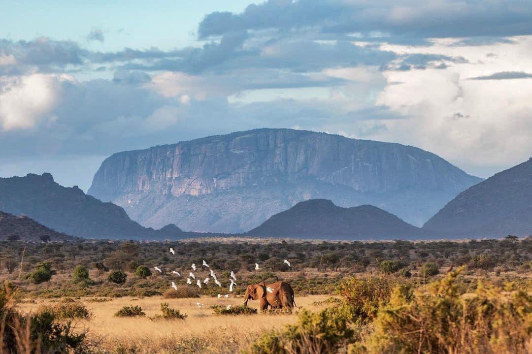 Lkinapet025's tweet photo. Magnificent Sundown at Samburu National Reserve. Top of The World https://t.co/vMa88dgF4K