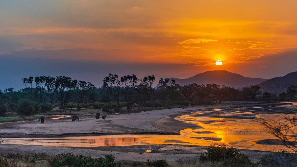 Lkinapet025's tweet photo. Magnificent Sundown at Samburu National Reserve. Top of The World https://t.co/vMa88dgF4K