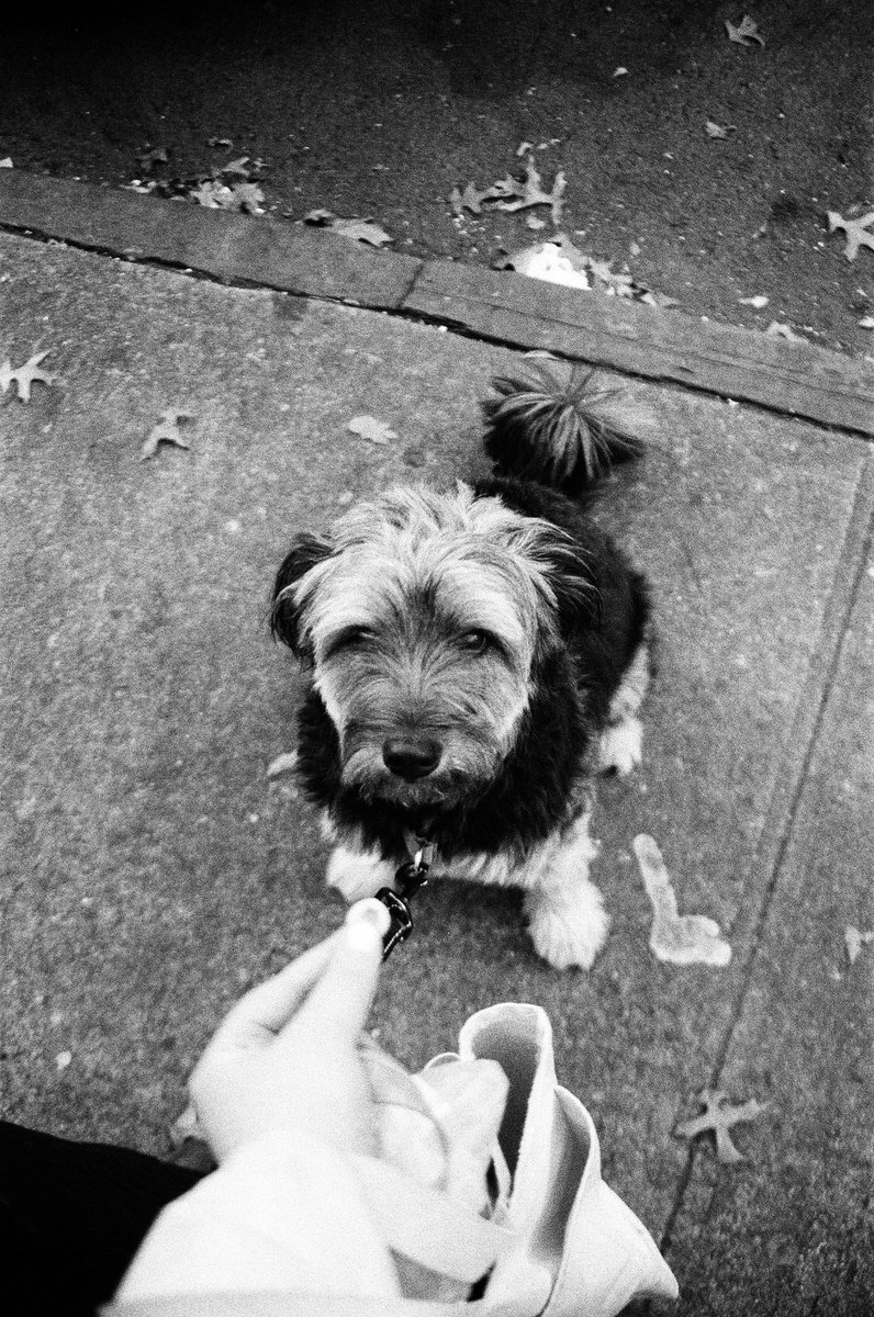 ella_m_e's tweet photo. Annie on film 🤎 https://t.co/YqcSGeagBI