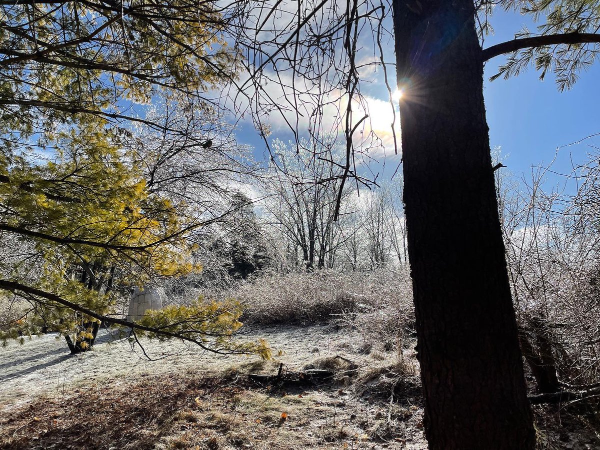 uogarboretum's tweet image. Why aren’t you here? #IceIsNice #Sparkly #WinterWonderland #ArboretumGuelph 

Check out the rest of the Winter Wonderland photos on our Instagram and Facebook! 
instagram.com/uogarboretum/
facebook.com/uogarboretum
📷on Instagram by @earley_birder