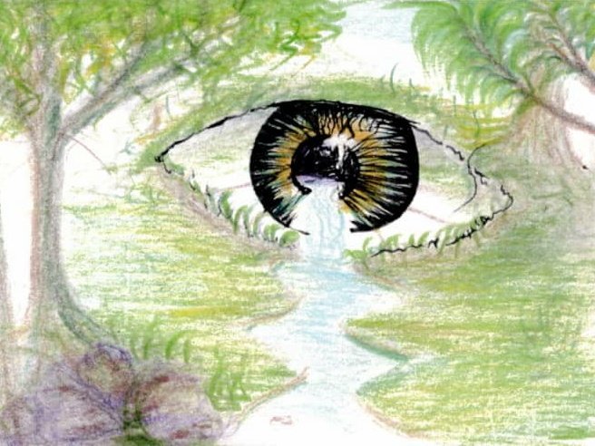 Wild Eyes NFT tweet media