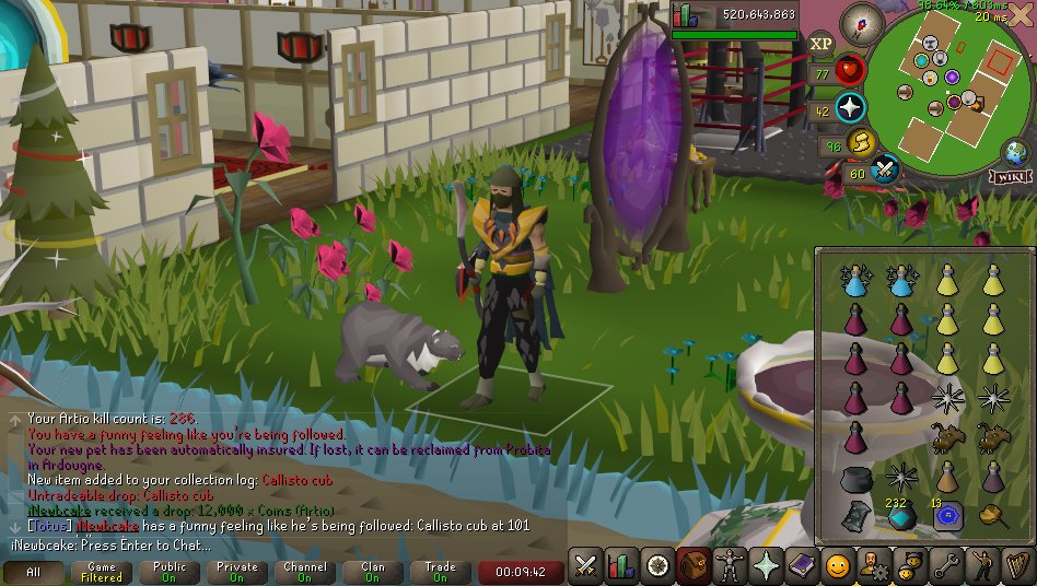 17th pet. Cute bear!🥰