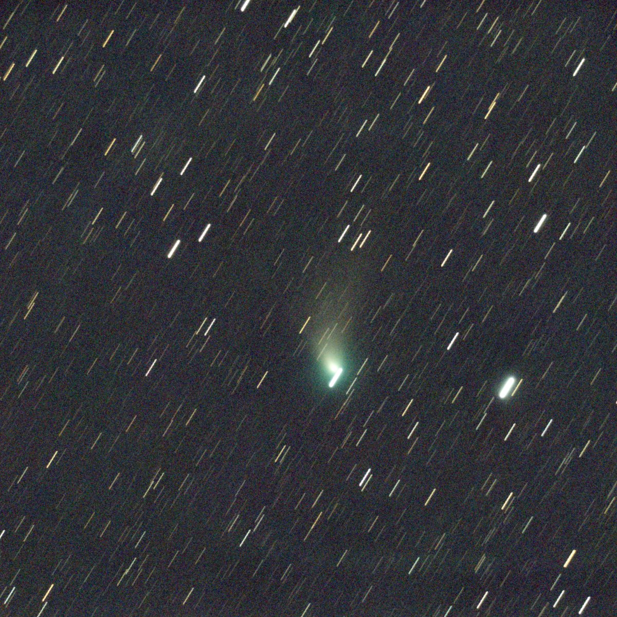 C/2022 E3　ZTF彗星　2023.02.17　20h05m(JST)～  60secx60　FC-50（F5.8）＆SV605CC　DSSで彗星核で合成　GraXpertでBG補正Photoshopでトーン調整　トリミング　透明度が落ちたためか写りが悪い、、　 #2022E3　#cometZTF　
#SV605CC
