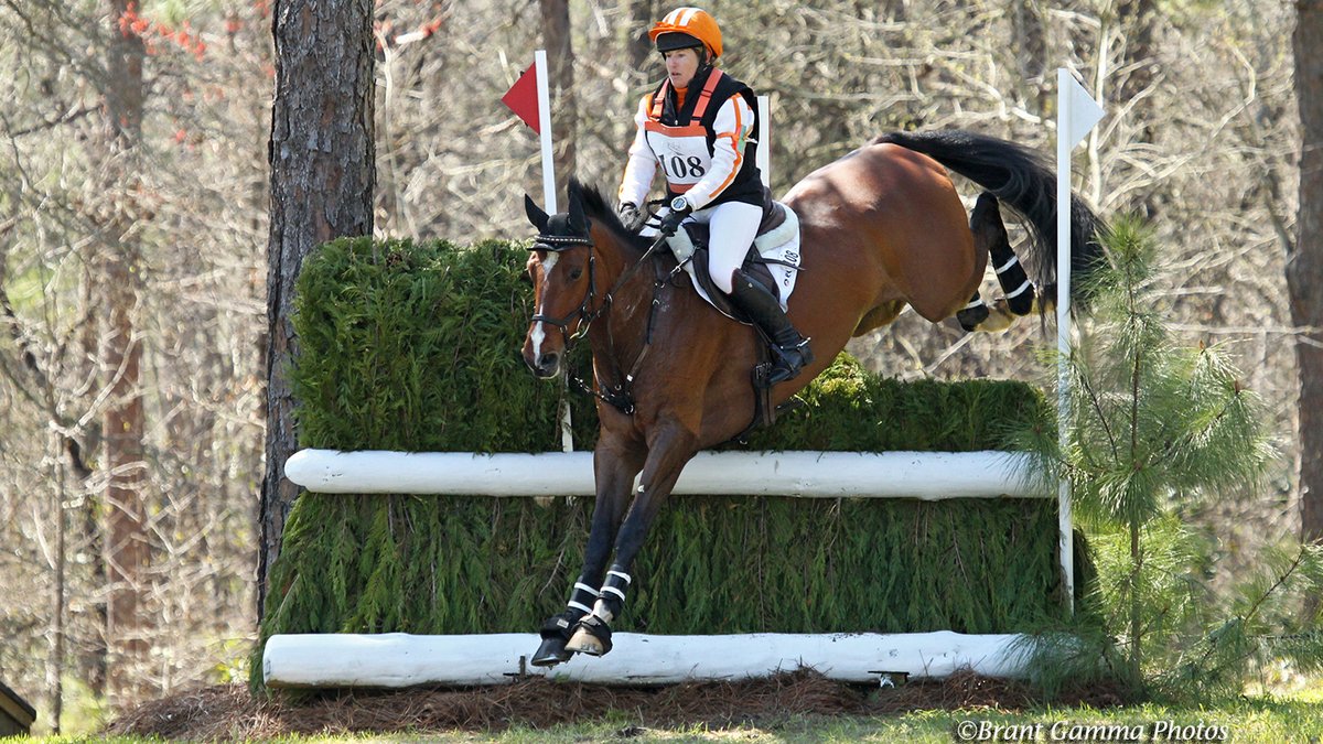 Yanmar America is proud to be a gold medal sponsor of the CCI4*-S division at the 10th Annual Carolina International CCI and Horse Trial, an equestrian competition held at the Carolina Horse Park. To learn more visit: bddy.me/3S5Rzmx #YanmarAmerica #Sponsor #Equestrian