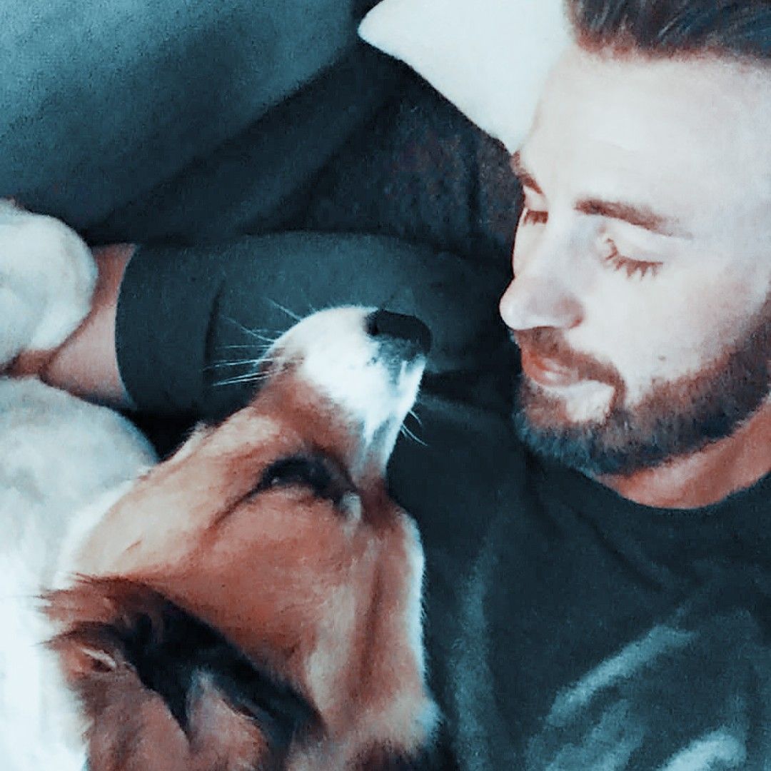 Chris & Dodger appreciation post
#ChrisEvans 
#DodgerEvans