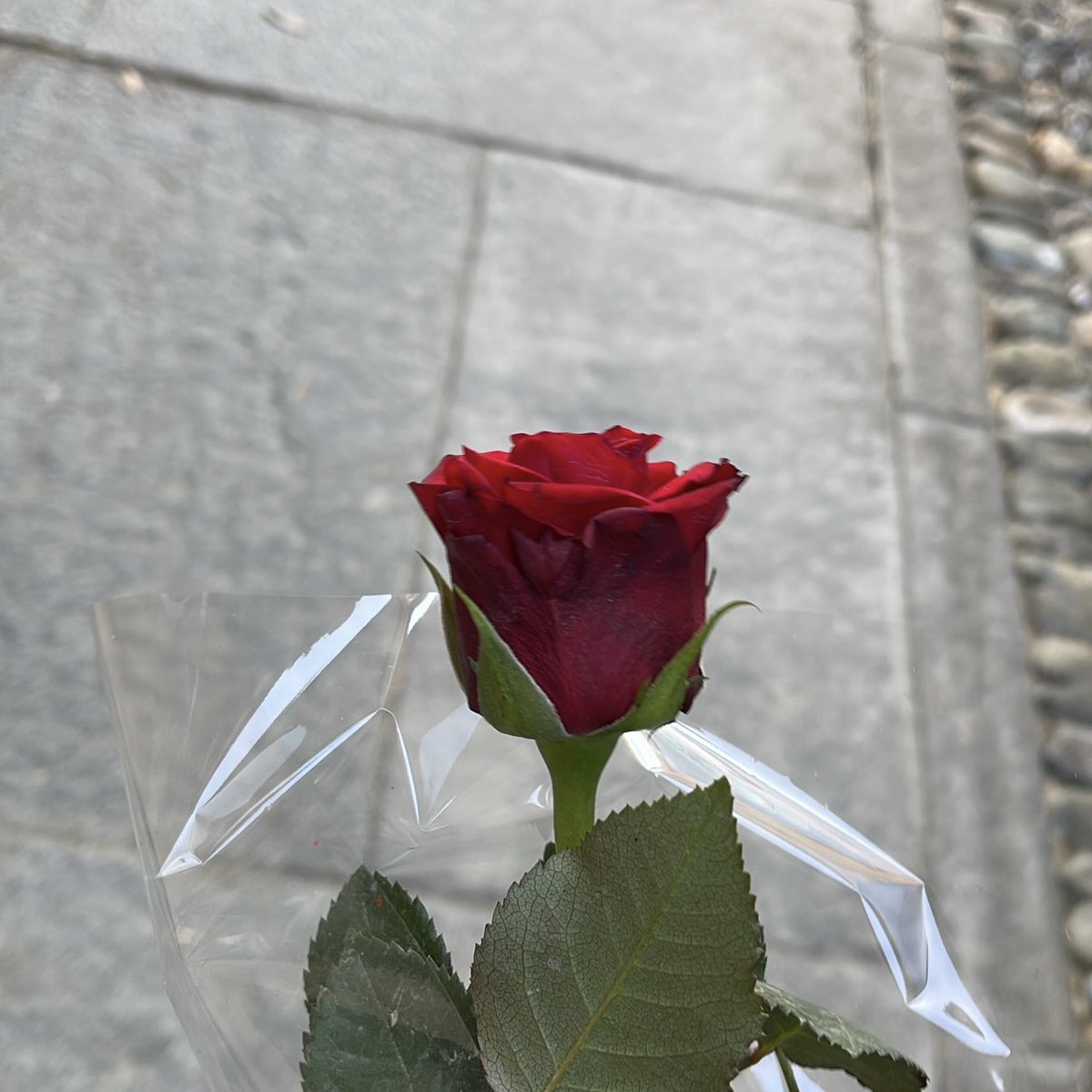 (don’t) break the chain 2023 ver
– lockscreen/wallpapers
– last song
– 7th saved pic
– 7 moots: <a href="/ggukeyama/">suz in the SOOP 🎐 × 아리랑.ᐟ</a> <a href="/louvskv/">micha ✰ ☾</a> <a href="/taecafune/">jai</a> <a href="/damntaes/">⁹⁵⁹⁷ alice 🪽</a> <a href="/gave_us_wings/">_annie</a> 
@noirellas <a href="/ifyoudontlisten/">.</a> (if you’ve already done it sorry!! and only if you want to do it or course <33) 🤍