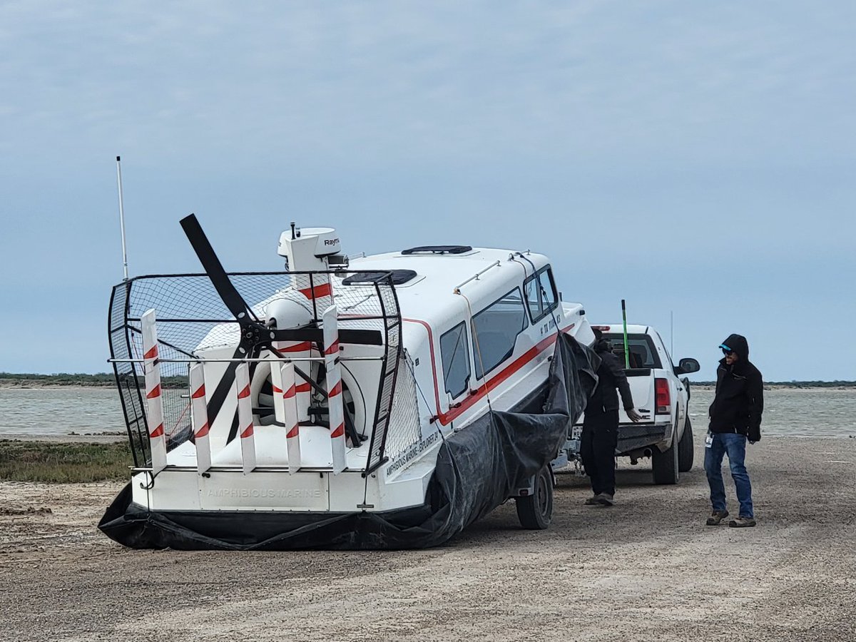 🌻 Jessica Kirsh tweet media