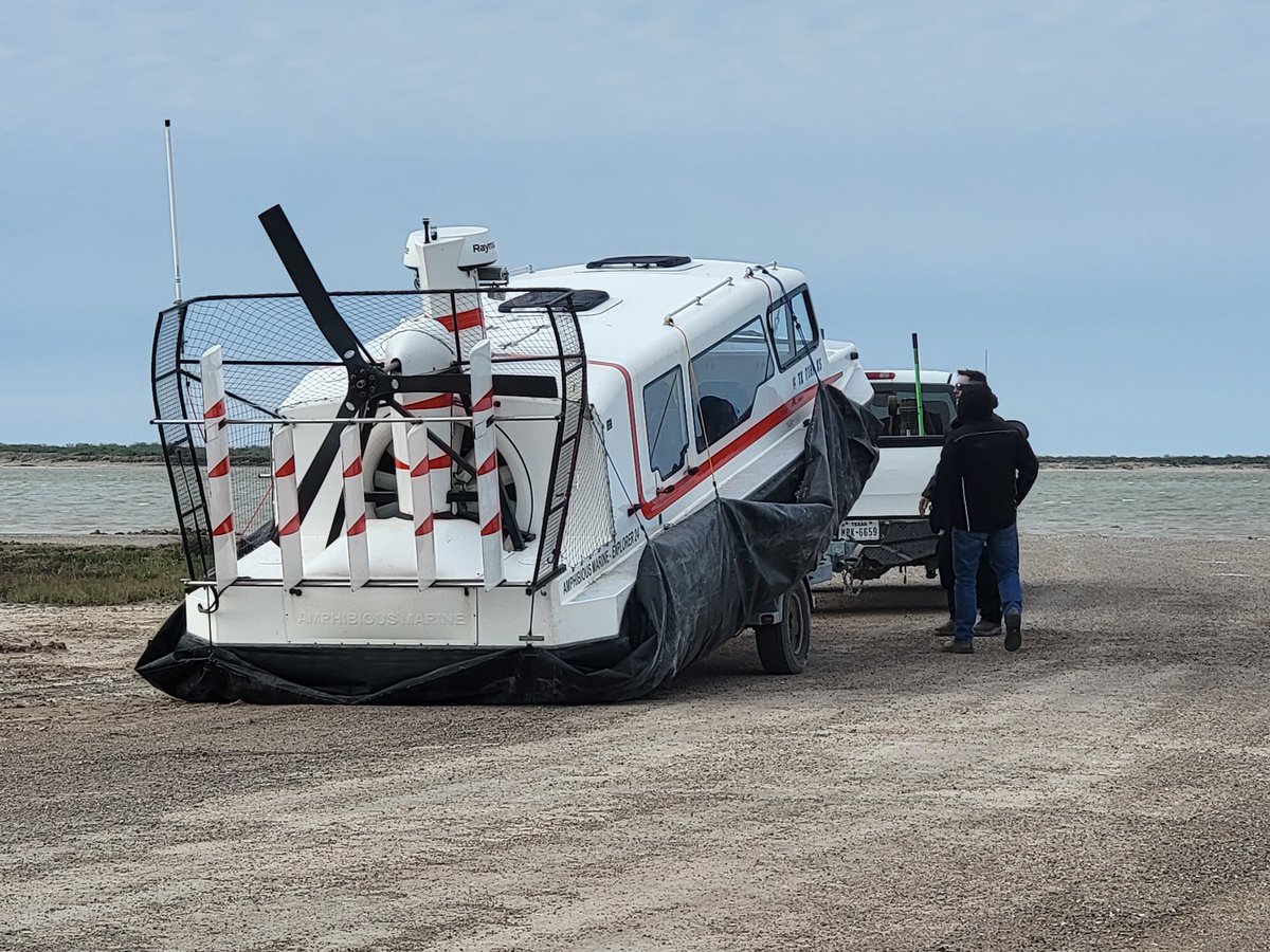 🌻 Jessica Kirsh tweet media