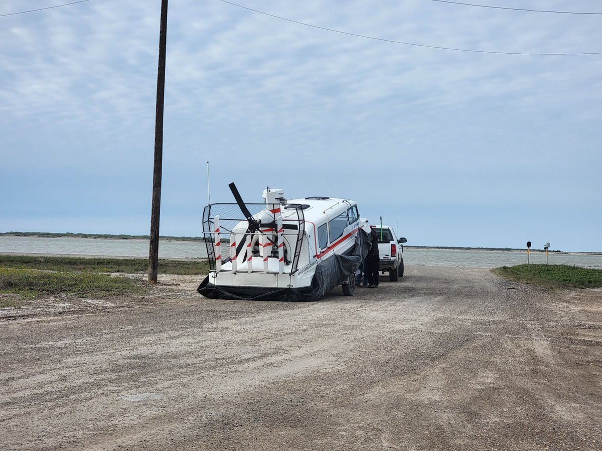 🌻 Jessica Kirsh tweet media