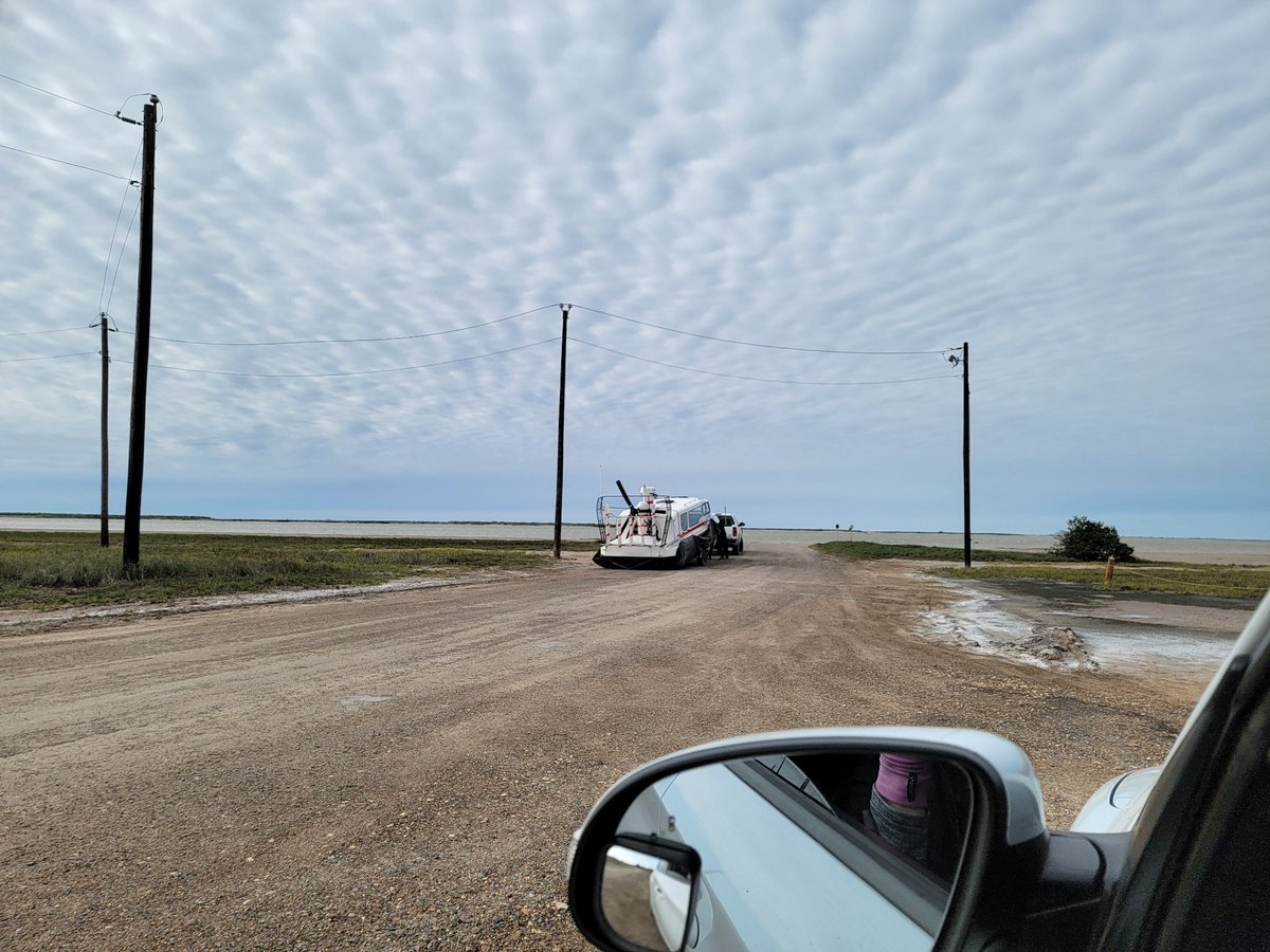 🌻 Jessica Kirsh tweet media