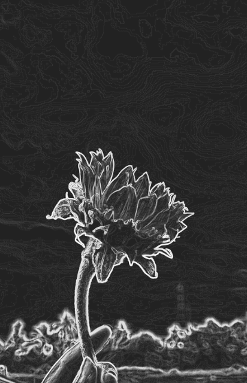 shimabach's tweet photo. When you leave, take your memories and my hope with you; or one of them will end up killing me.
#WritingCommunity #quoteoftheday #weekendmood #readingcommunity #Photographie #lifelessons #LoveYou #sunflower #PhotoOfTheWeek #BookLover #fridaynight #MotivationalQuotes #rainyday https://t.co/BqwN4HT2qn