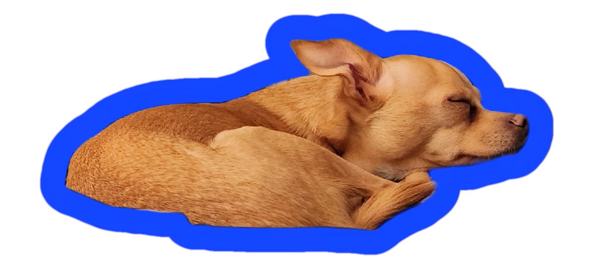jessckohl's tweet photo. #doggoclock #p4a2023 https://t.co/SqQWHm8tD4