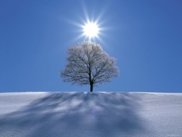 ✨ 💫 ❤  ☀ 🎤 🎼 youtube.com/watch?v=nzH_gN…
#rockprogressive 
We choice the Life
Snow! The sun and a wonderful mood to you!