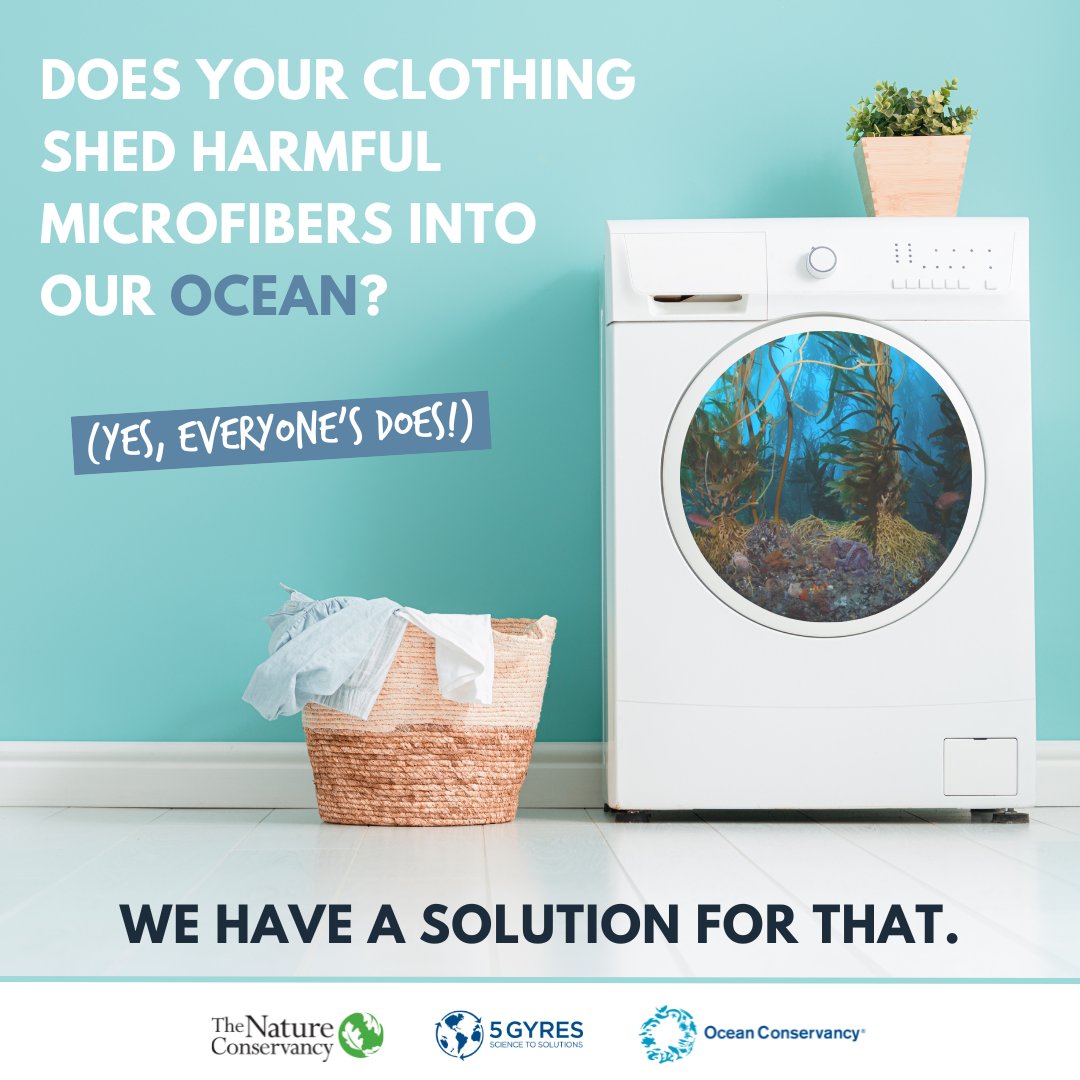 Conserve_CA's tweet photo. Today, #AB1628 was introduced in California, which would require new washing machines in CA to contain a microfiber filtration system.

Join TNC, @OurOcean &amp; @5gyres in thanking Asm. @TinaMcKinnor1 for taking action on a significant source of plastic pollution 👏 #WashSmarter https://t.co/cJWUgijgpi