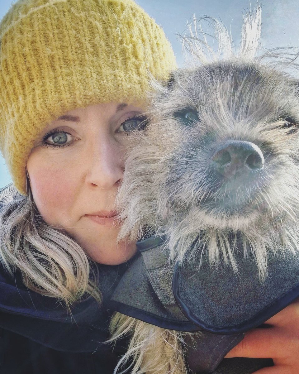 Have a super weekend everyone from me and Tarn! 😃🐾🤟 #weekendvibes #FridayFeeling #borderterrier #terrier #borderterriers #dogsoftwitter #dogwalker