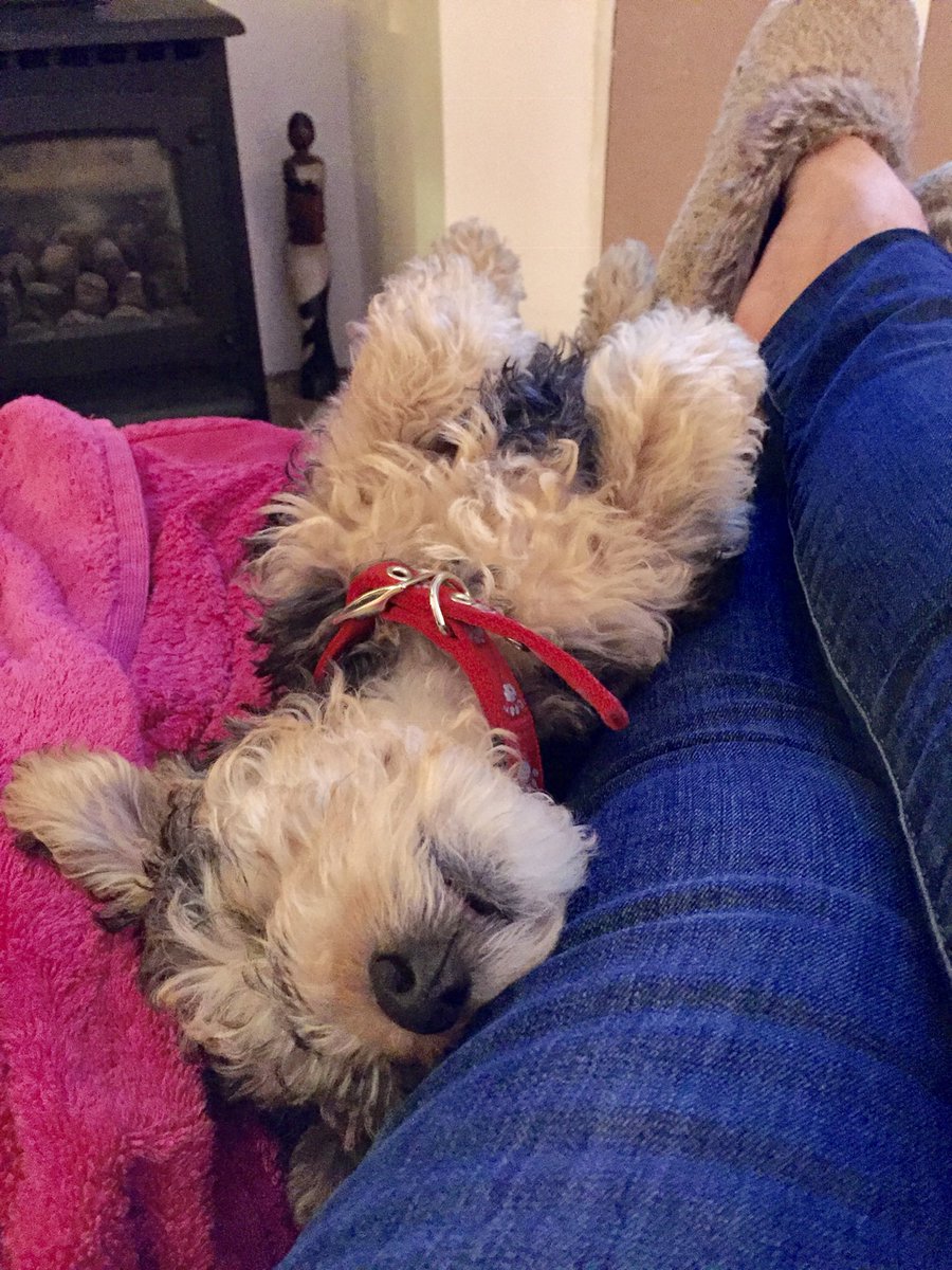 Bertie Lakeland tweet media