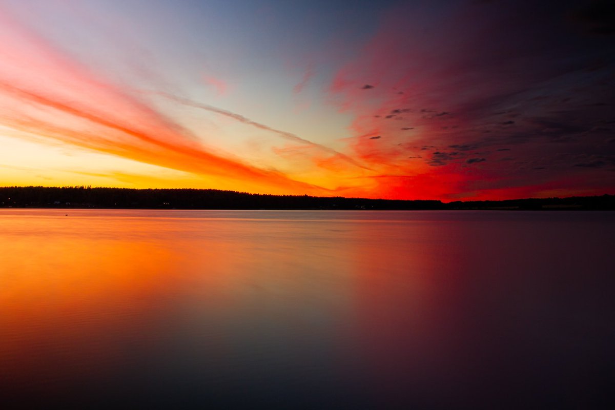 Altius Images Ltd. tweet media