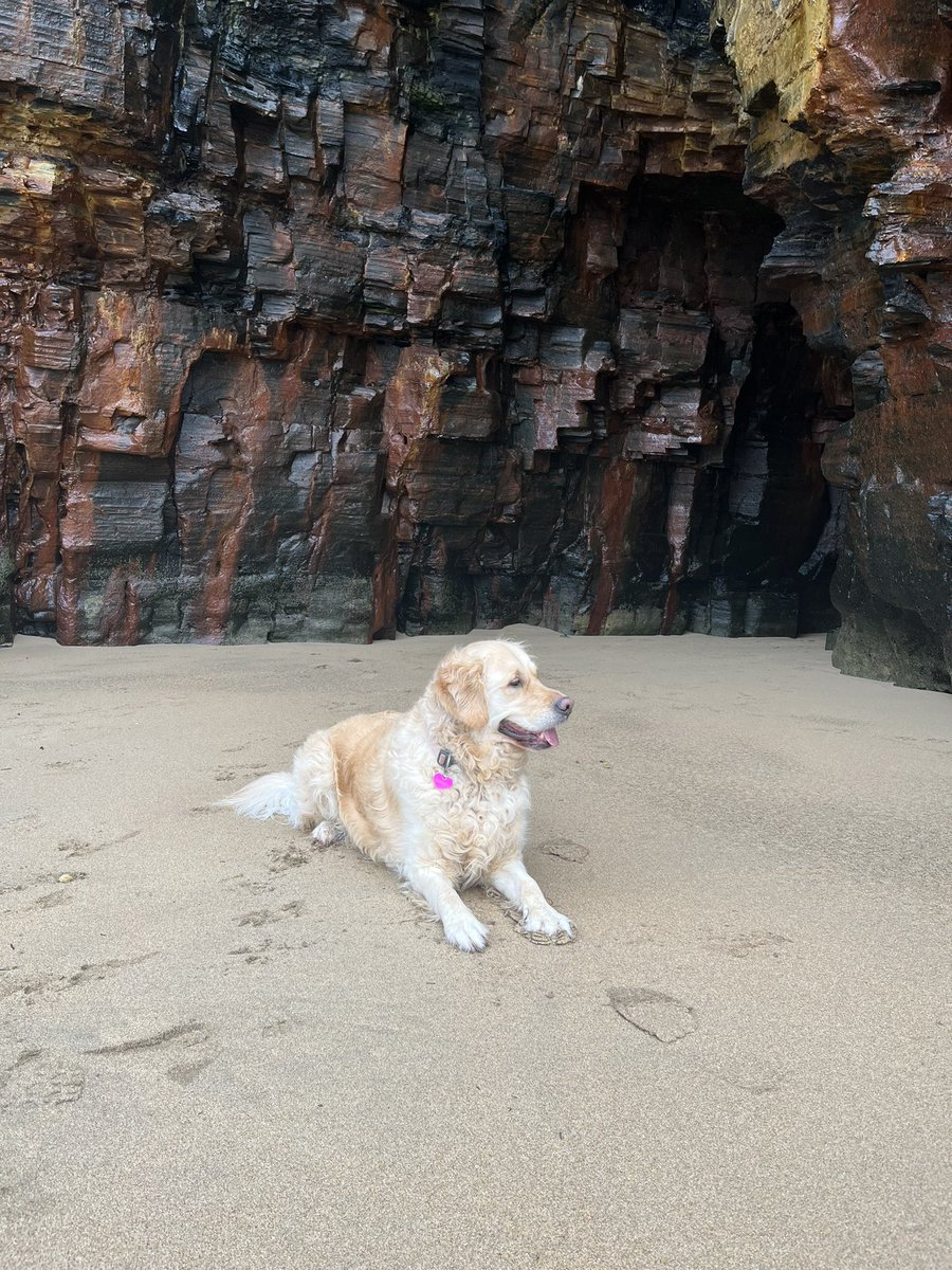 shellykirwan's tweet photo. #ballybunnion #ballyB #kerry #momentsoffleash #gooddog #nospoillingthebeach https://t.co/lrUe9K4DEa