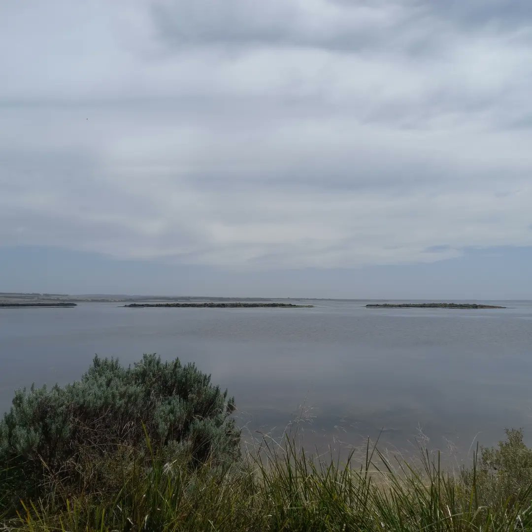 rebeccabhull's tweet photo. #QueenscliffMarineScienceCentre #WadawurrungCountry, our home during
#ZOOL30008 #ExperimentalMarineBiology a 3rd year marine biology subject. @SciMelb @UniMelb #undergradteaching #undergradresearch https://t.co/lpnZbQP84B