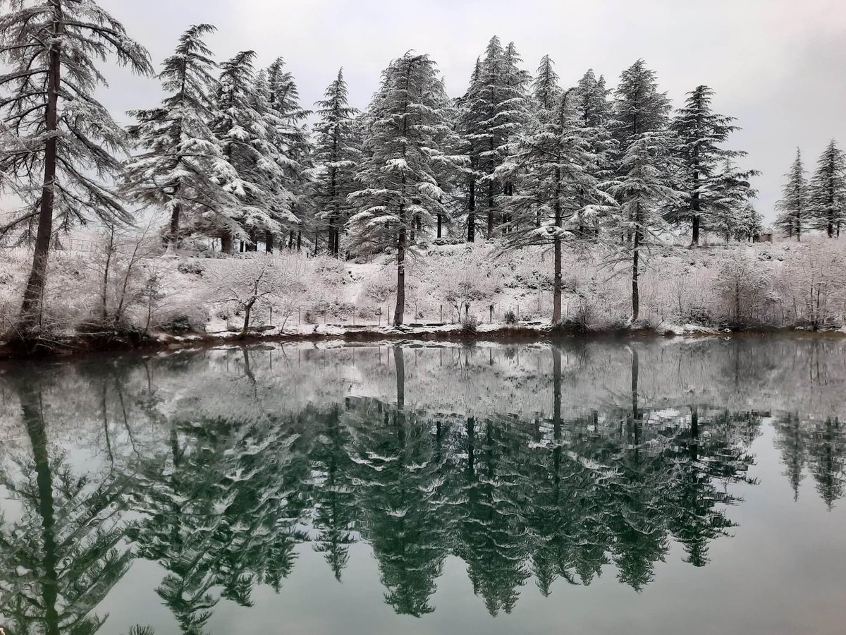 raulkiria1's tweet photo. This lake is near my house
#Khobi is a town in western #Georgia #papantskvire #Kheta https://t.co/vIolyE294v