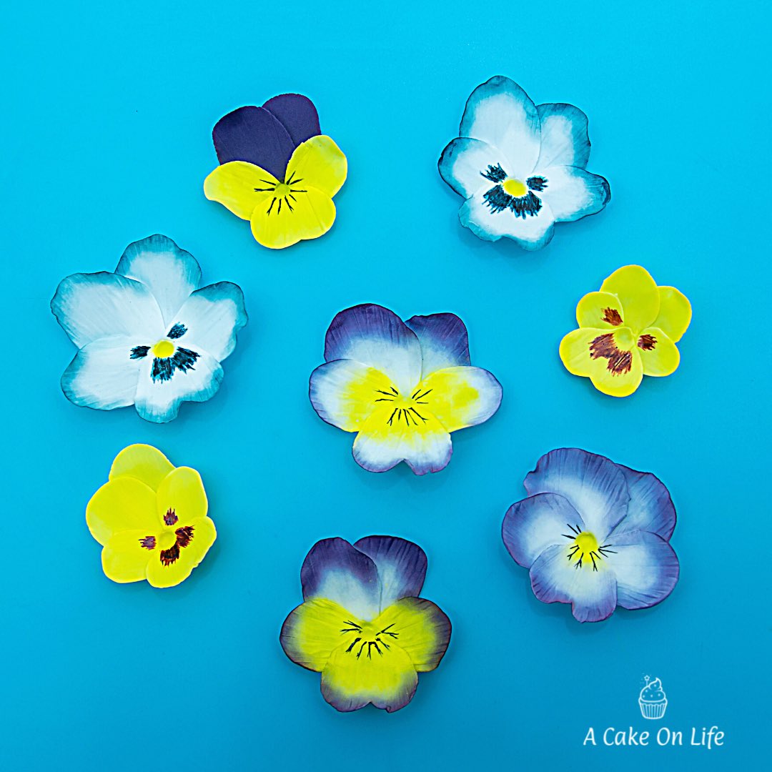 acakeonlife's tweet image. Happy Friday lovely twitter friends! Last year I made a tutorial showing how to make these sugar pansies. If you would like to learn how to make them then click the below.  Have a lovely weekend 😊#cakedecorating #sugarflowers 

youtu.be/wkM97H61n2Q