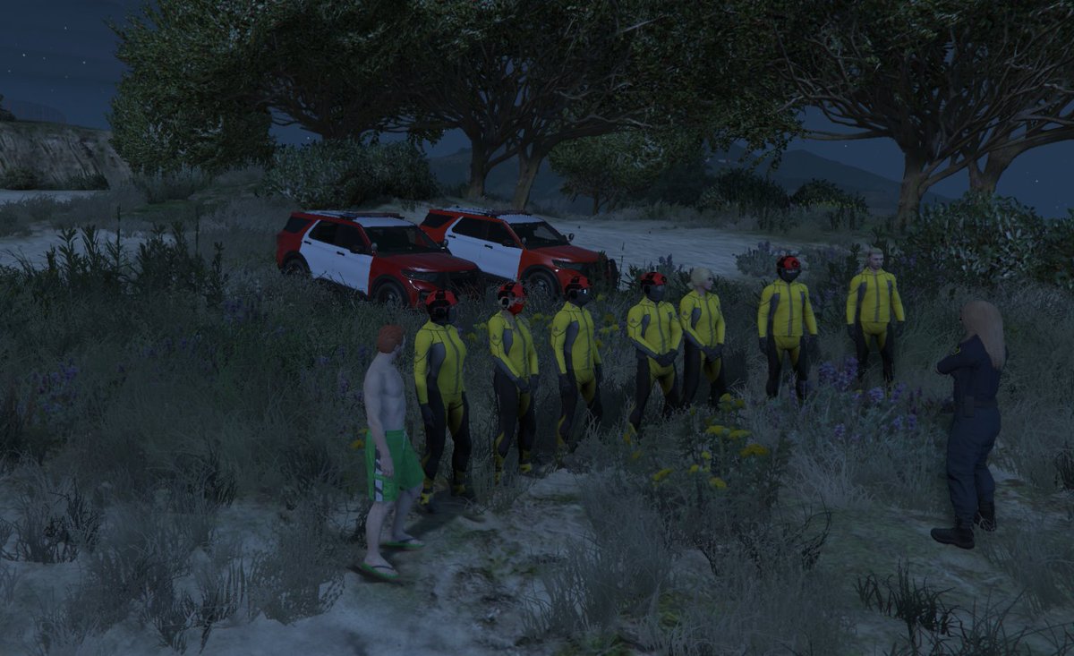 SAFD NoPixel tweet media