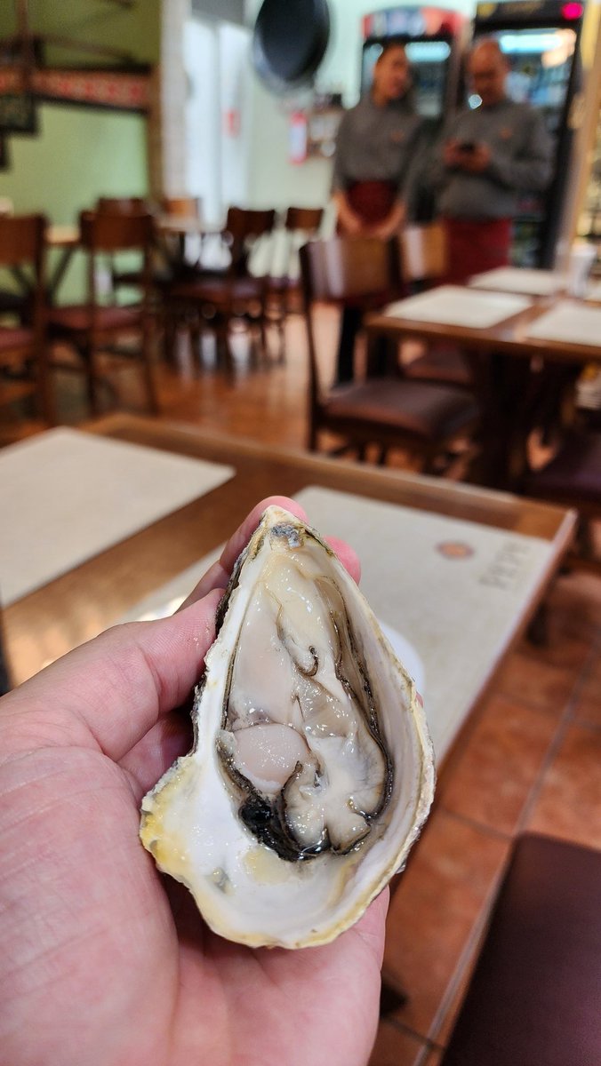 Pré Carnaval, bora de Ostras???