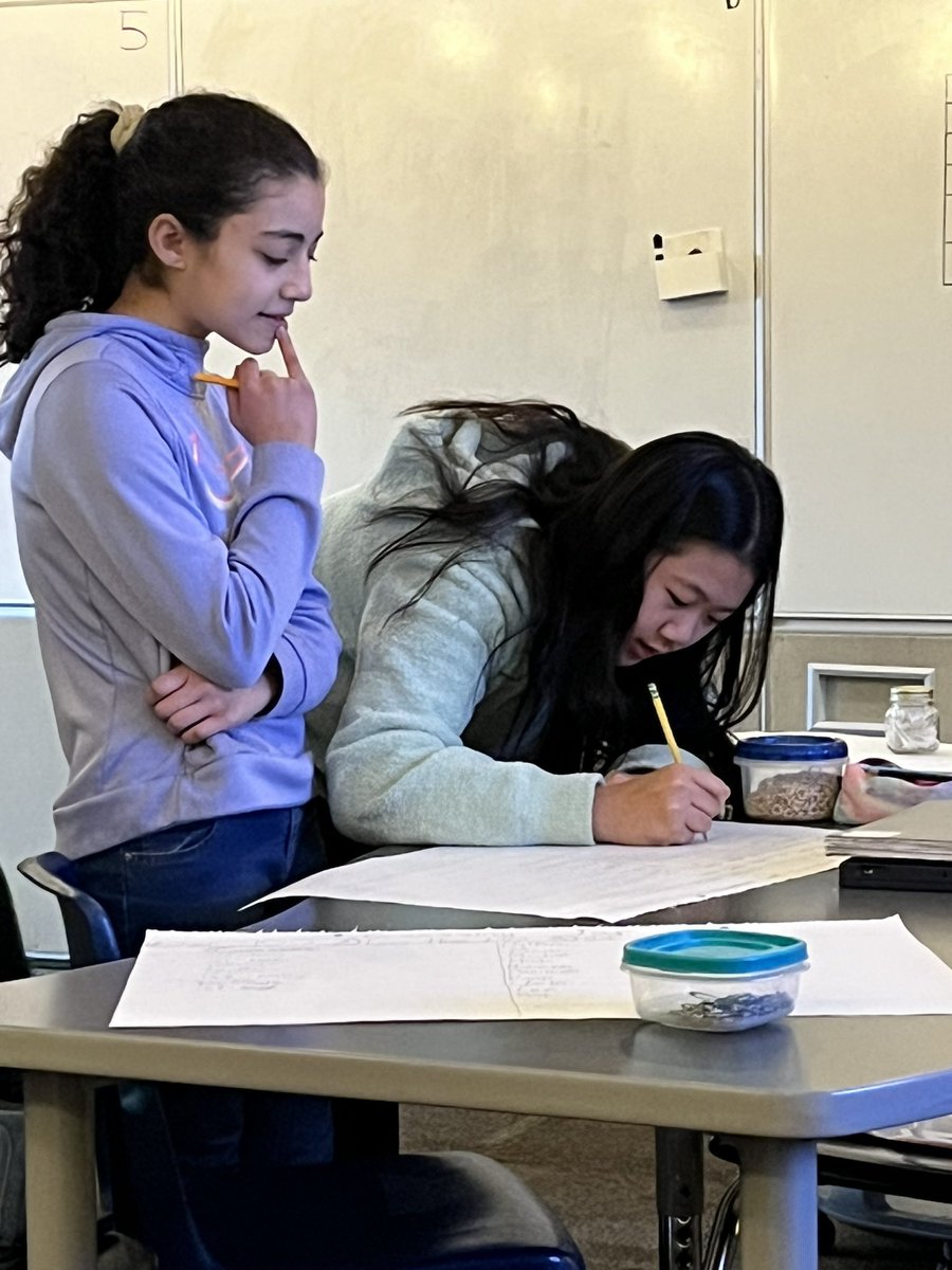 Shelley McHugh tweet media