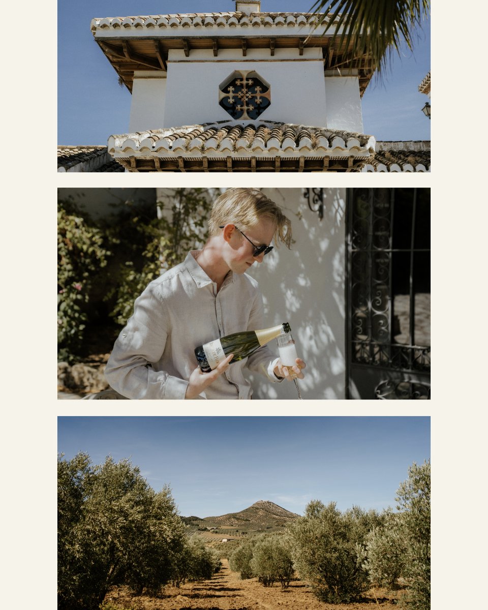 BeanieandJosh's tweet photo. Savannah + Niall // Villanueva Del Rosario, Spain

Where do I even start with captioning this stunning day. The venue, the surroundings, the decor was all so perfect, a photographers dream! But even better than that, Savannah and Niall are the sweetest couple, so obviously totall https://t.co/0nY3JRkxTU