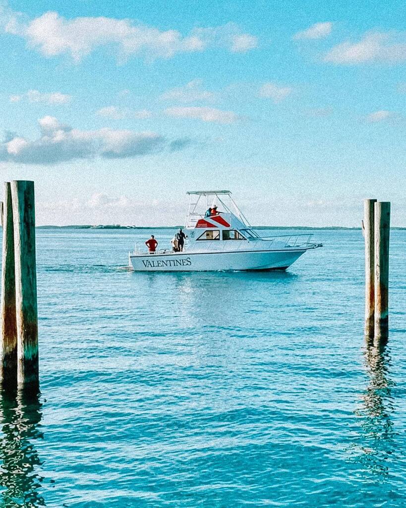 Valentines Resort tweet media