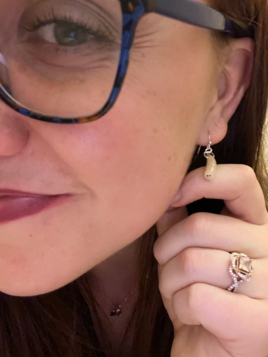 DrLaurenWeidner's tweet image. Loved having a session on #forensicentomology @The_AAFS conference this year. Had to accessorize appropriately! #maggotsforthewin #AAFS75 #AAFS2023