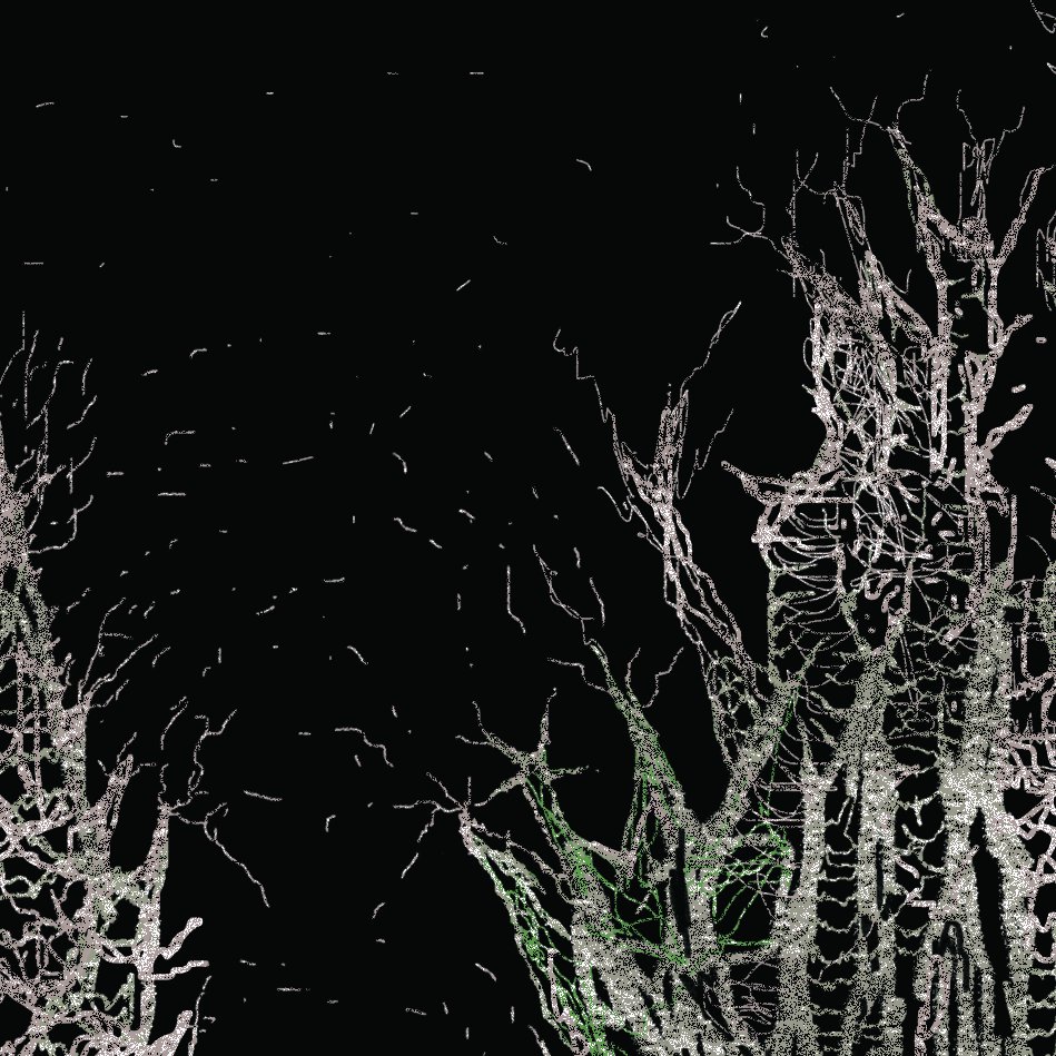 sneak peek for new collection
on <a href="/objktcom/">objkt</a>