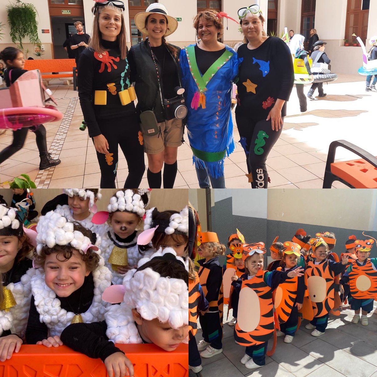 Colegio Pureza Santa Cruz tweet media