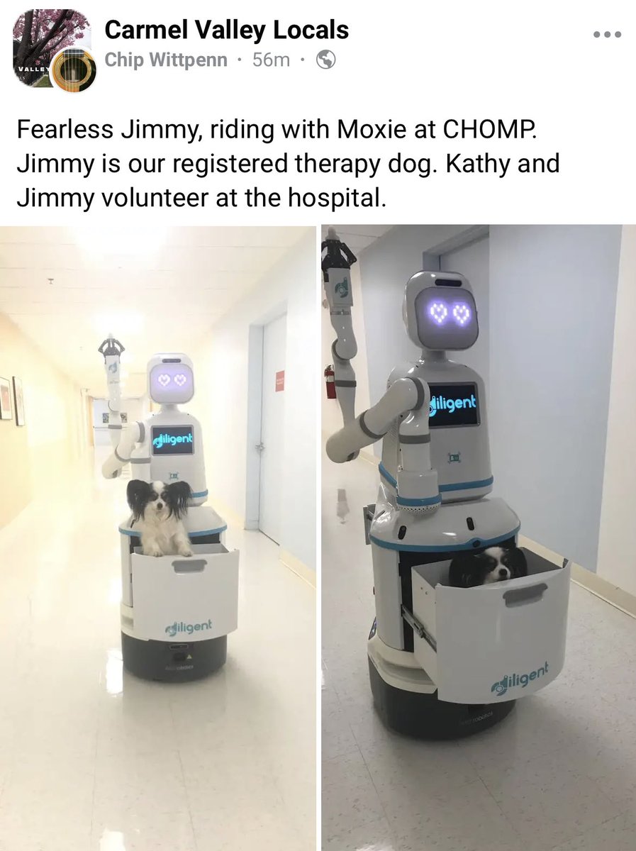 bspartridgeCIS's tweet image. This is at my hometown hospital 🥰 I would die of happiness to be in charge of a Robot carrying therapy dogs 🐕 💕 Major retirement job goals #TechNerd
