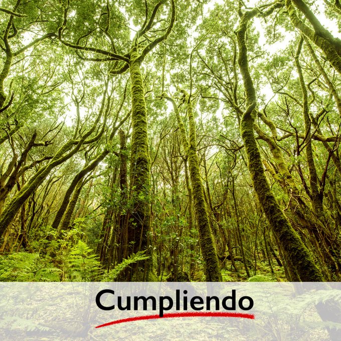 mitecogob's tweet photo. El Gobierno ha aprobado grandes herramientas de planificación a largo plazo

🟢 Plan Estratégico del Patrimonio Natural y de la Biodiversidad a 2030

🟢 Plan Director de Áreas Marinas Protegidas

🟢 Plan Estratégico de Humedales

🟢 Estrategia Forestal Española a 2050 https://t.co/BaXUFOhh6b