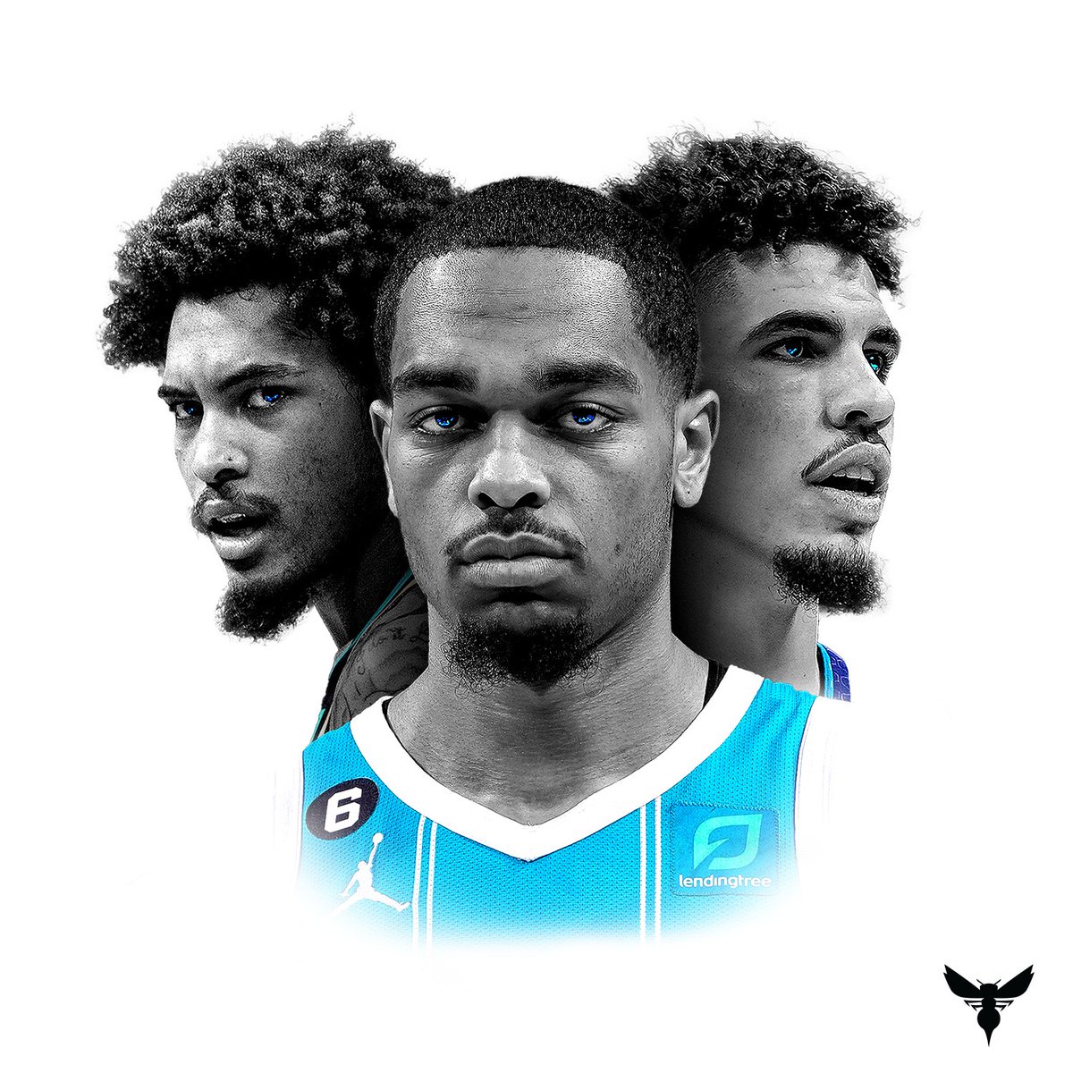Charlotte Hornets tweet media