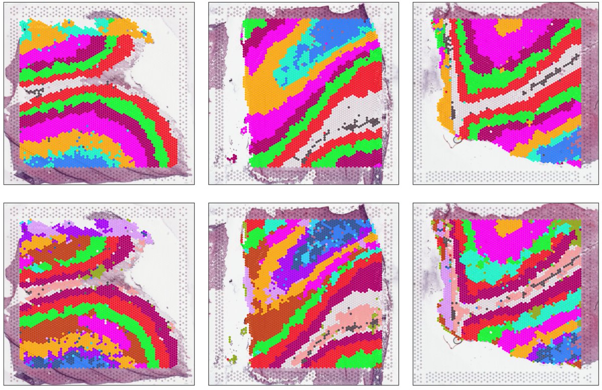 Louise Huuki-Myers (@lahuuki) on Twitter photo Hot of the pre-print press! 🔥 Our latest work #spatialDLPFC pairs #snRNAseq and #Visium spatial transcriptomic data in the human #DLPFC building a neuroanatomical atlas of this critical brain region ðŸ§
<a href="/LieberInstitute/">Lieber Institute</a> <a href="/10xGenomics/">10x Genomics</a> #scitwitter
📰 doi.org/10.1101/2023.0… Hot of the pre-print press! 🔥 Our latest work #spatialDLPFC pairs #snRNAseq and #Visium spatial transcriptomic data in the human #DLPFC building a neuroanatomical atlas of this critical brain region ðŸ§
<a href="/LieberInstitute/">Lieber Institute</a> <a href="/10xGenomics/">10x Genomics</a> #scitwitter
📰 doi.org/10.1101/2023.0…
