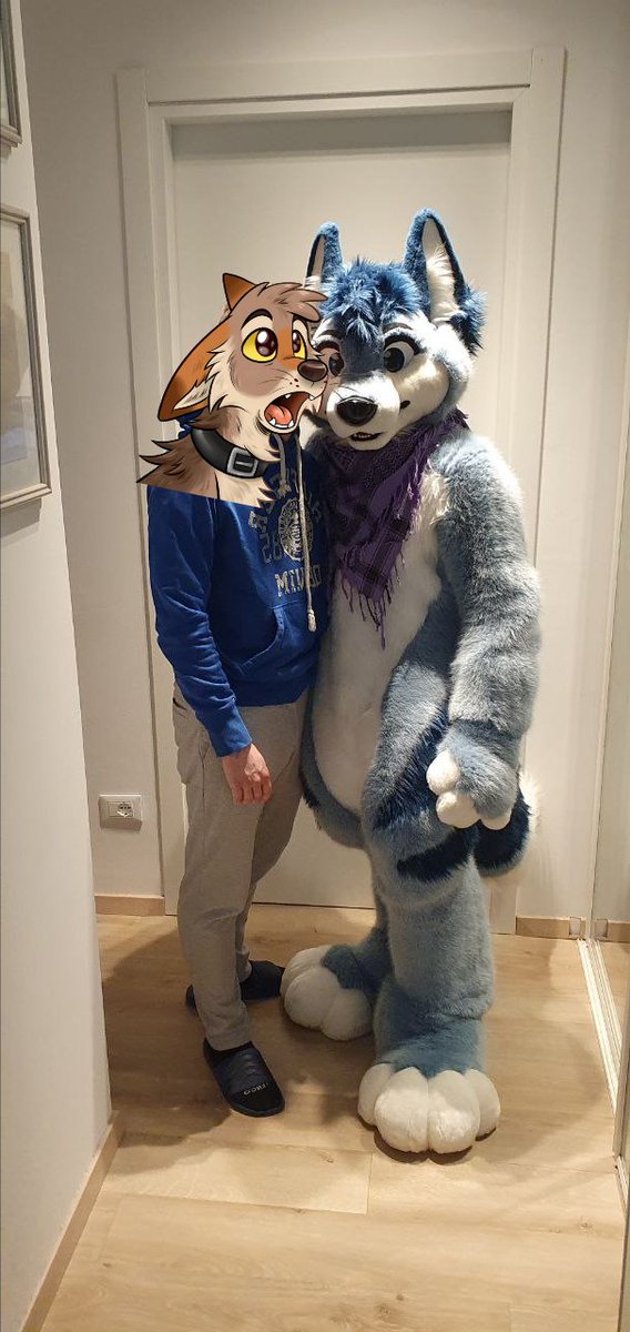 ~Random Red Wuff~ tweet media