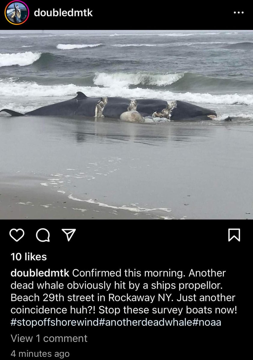 PatriotsRmaga's tweet photo. Another one today 🐳🤬🤬🤬🤬🤬🤬🤬🤬🤬🤬🤬🤬🤬🤬 https://t.co/KeBzQGOPoB